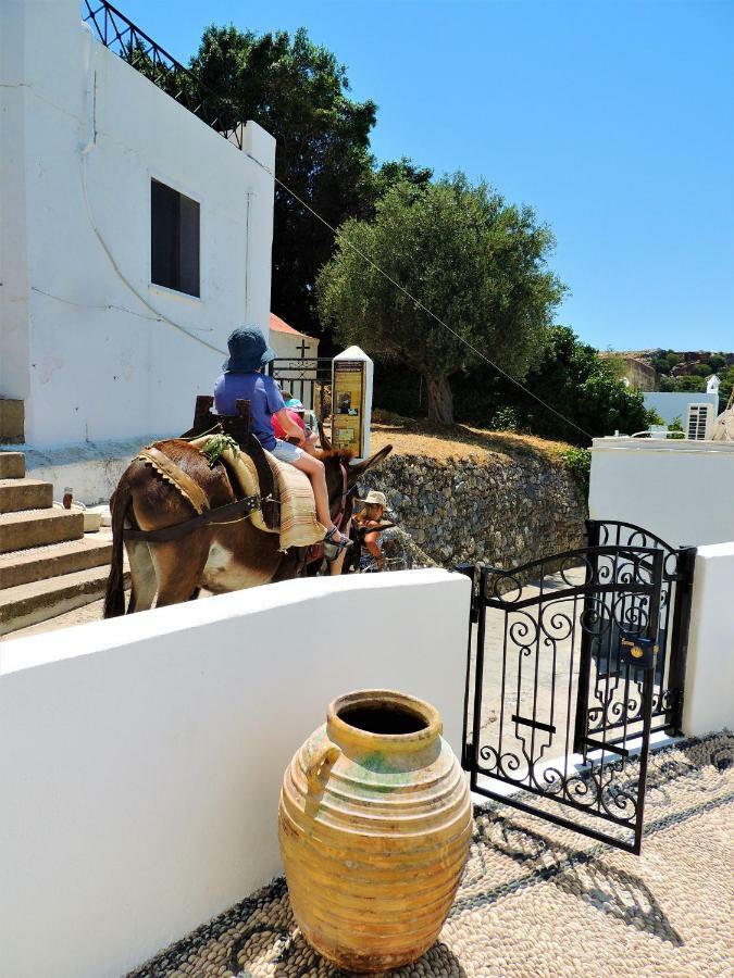 Aktaia Vila *